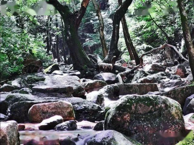 国际观察|多重因素助推去年国际金价“狂飙”